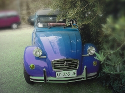 2cv